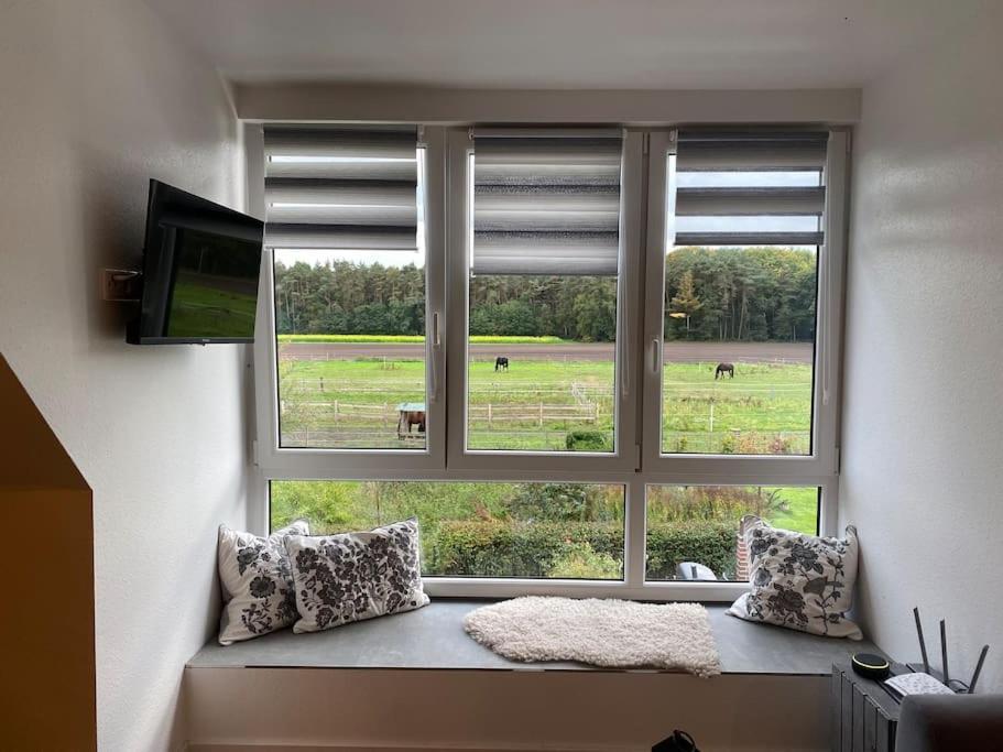 Wunderschoene Ferienwohnung Auf Dem Bauernhof Greven Exterior photo