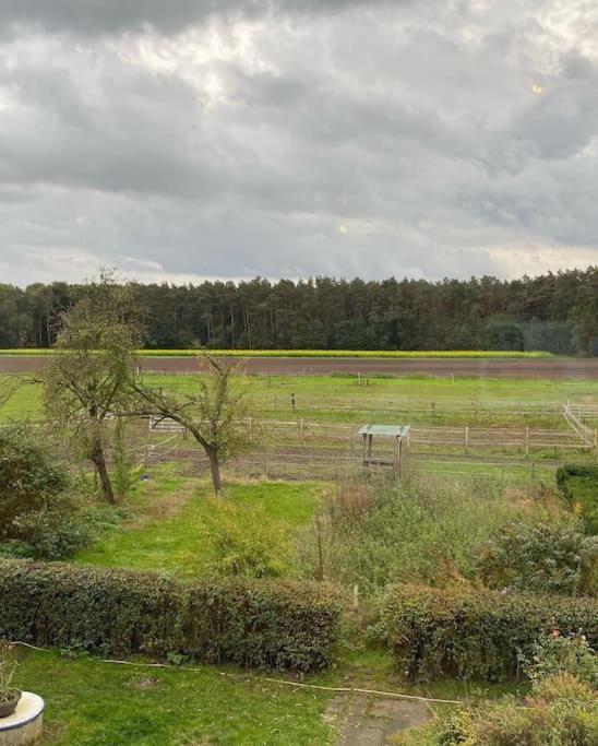 Wunderschoene Ferienwohnung Auf Dem Bauernhof Greven Exterior photo